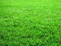 Hydroseeding your lawn